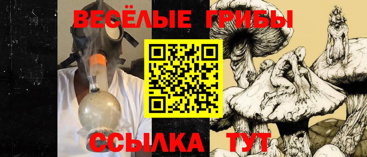 Бахчисарай  купить  цена  Вход с VPN  Псилоцибиновые грибы прущие грибы 